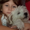 Mireia N.