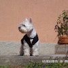 ROBERTO C.