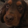 Fiona A.