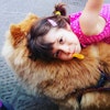 Ilaria D.