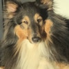 Leena E.