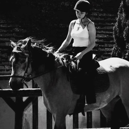 nolwenn p.