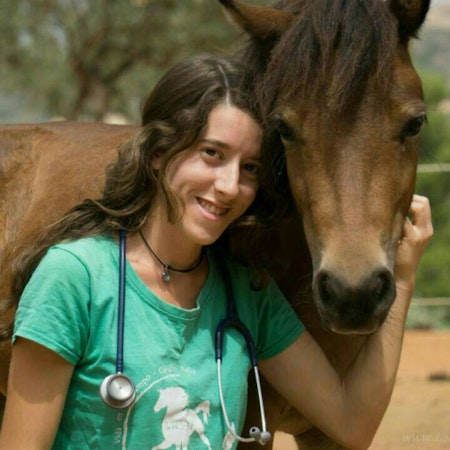 Indira P.