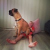 Stine S.