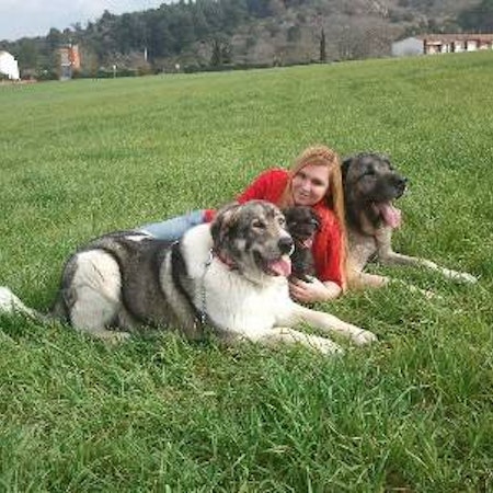 Dolors R.