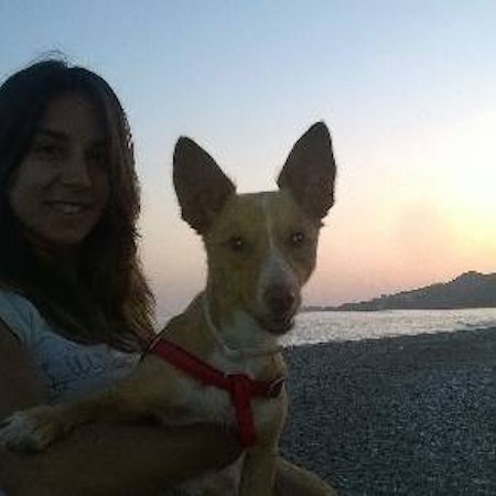 Beatriz A.
