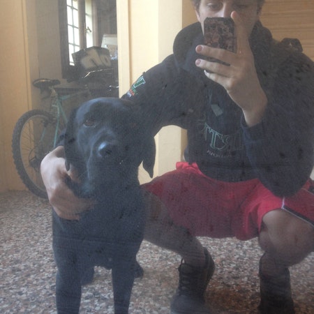 Alvise F.