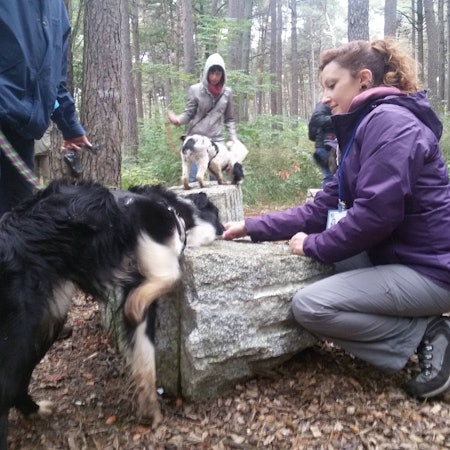 Alice Dogtrainer B.