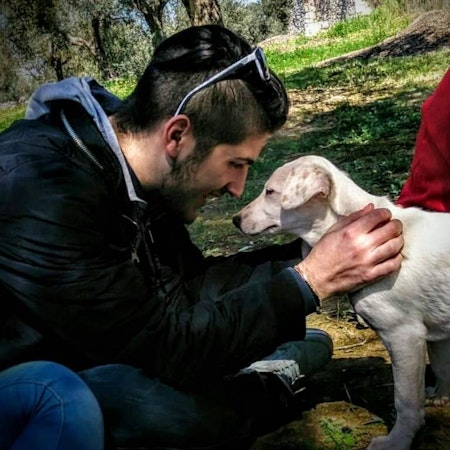 Pierdamiano C.
