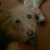 Gema M.